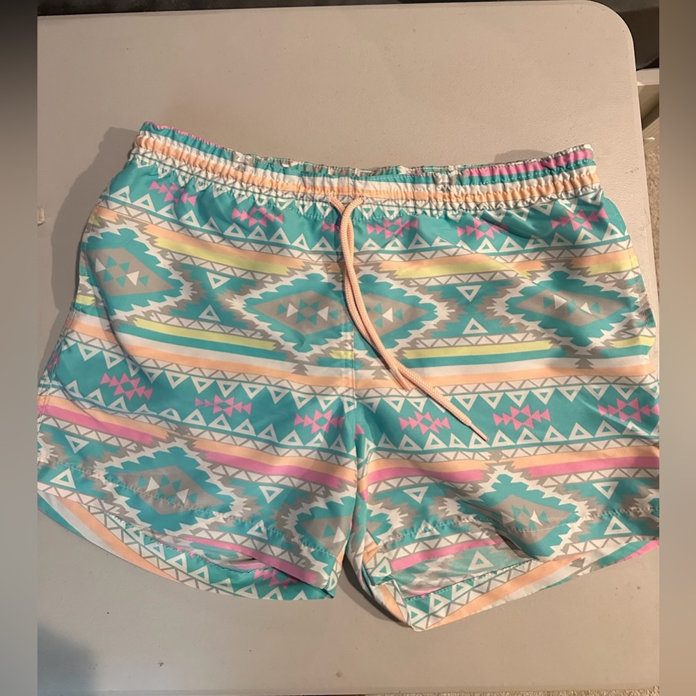 Chubbies swim trunk with liner